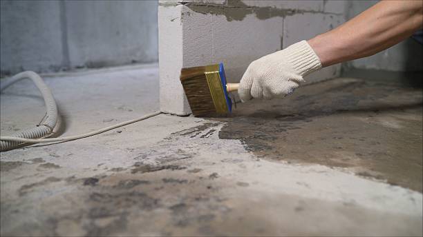 SJ Waterproofing Pros Waterproofing coverage map for Shelburn, IN and surrounding area